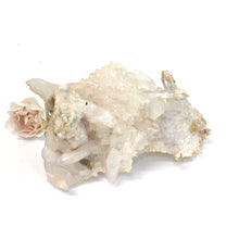 Load image into Gallery viewer, Clear quartz crystal cluster | ASH&amp;STONE Crystals Shop NZ
