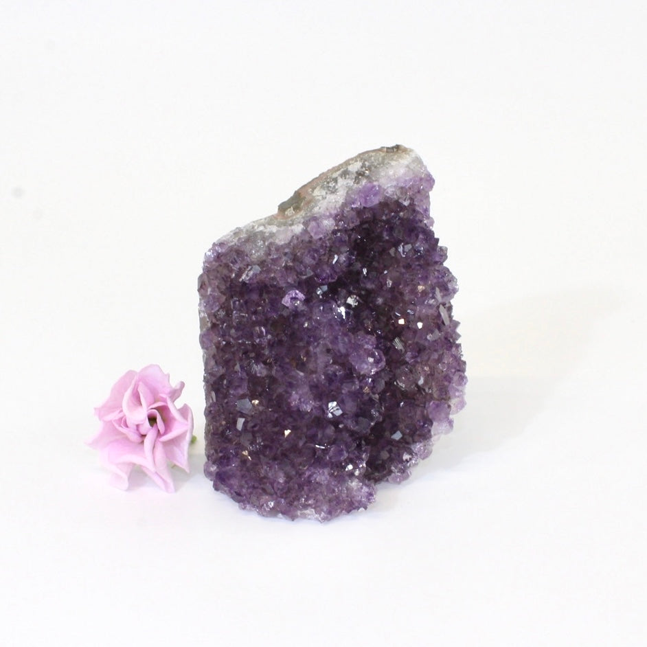 Amethyst crystal with cut base | ASH&STONE Crystals Auckland NZ