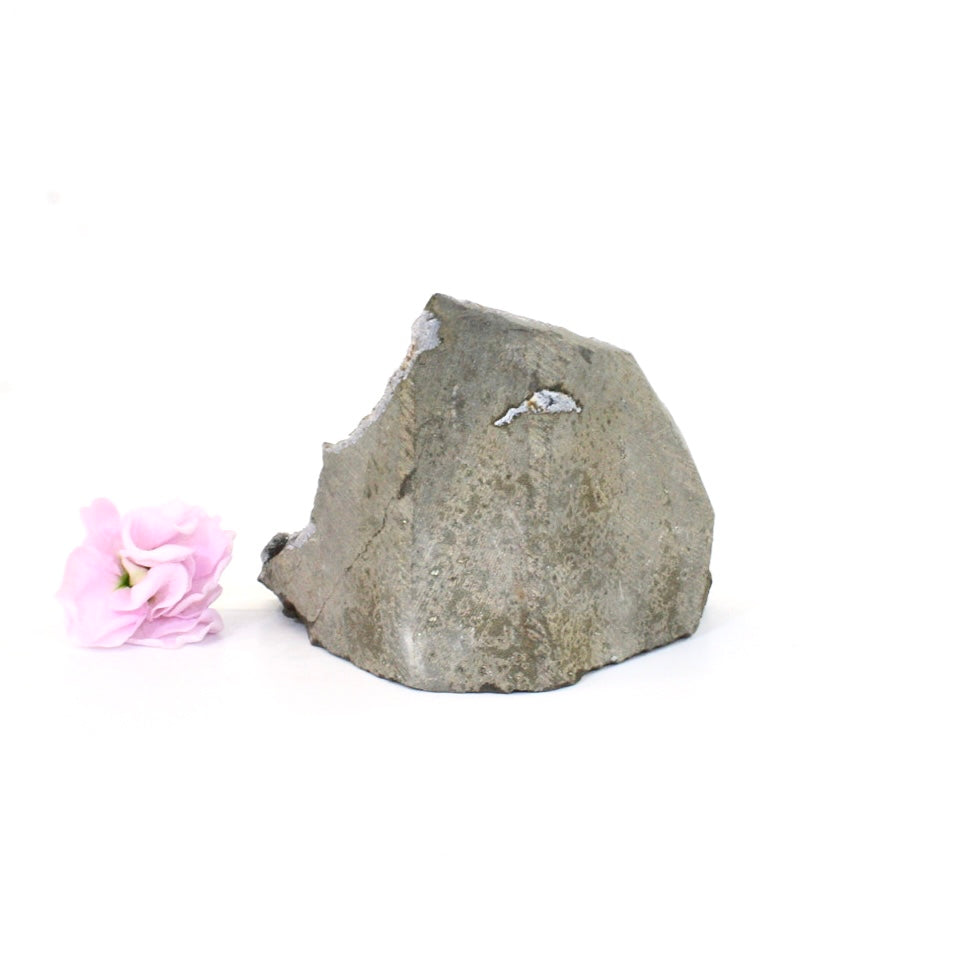 Black amethyst crystal cluster | ASH&STONE Crystals Shop Auckland NZ