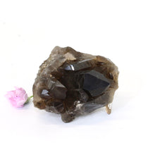 Load image into Gallery viewer, Smoky quartz crystal cluster | ASH&amp;STONE Crystals Shop Auckland NZ
