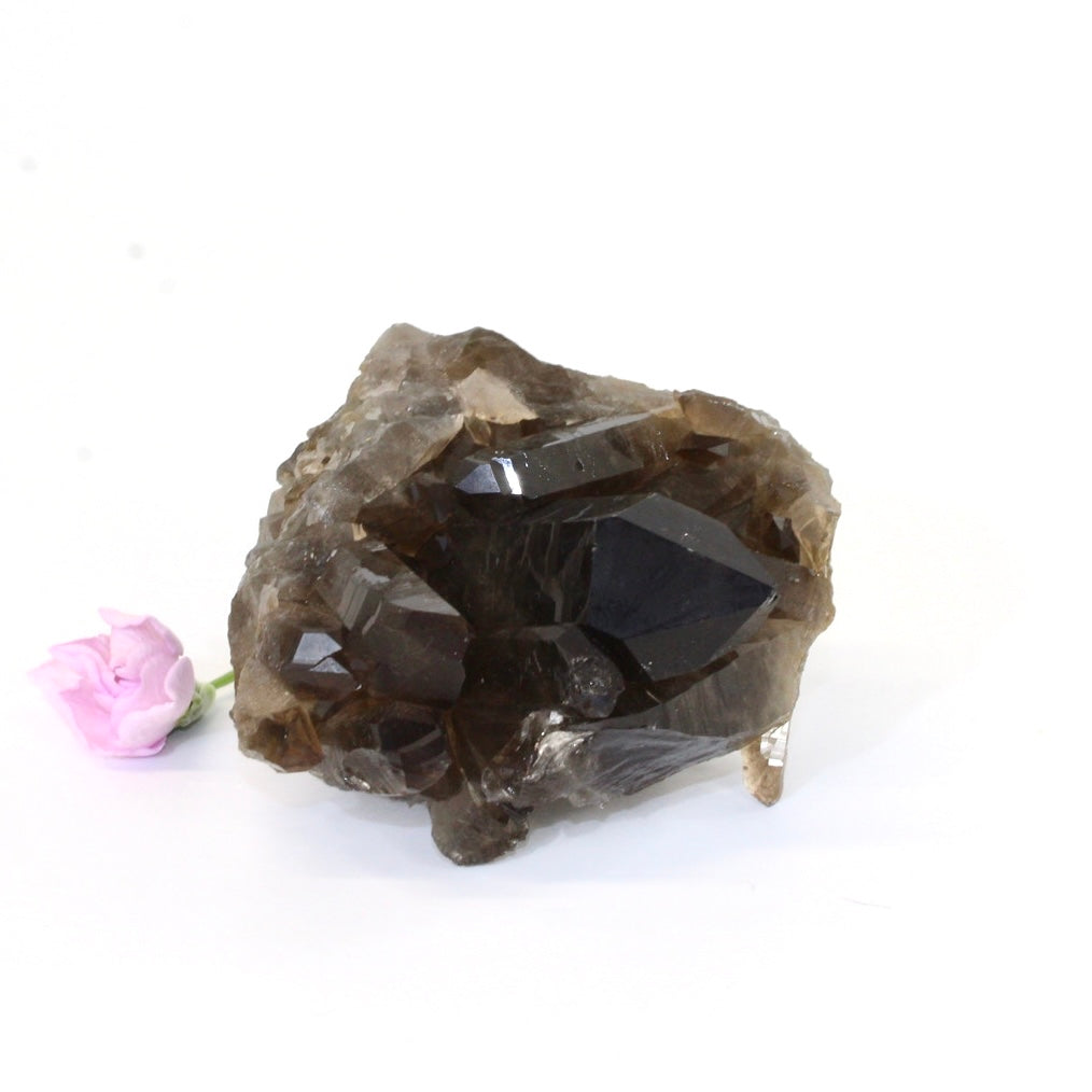 Smoky quartz crystal cluster | ASH&STONE Crystals Shop Auckland NZ