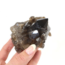 Load image into Gallery viewer, Smoky quartz crystal cluster | ASH&amp;STONE Crystals Shop Auckland NZ

