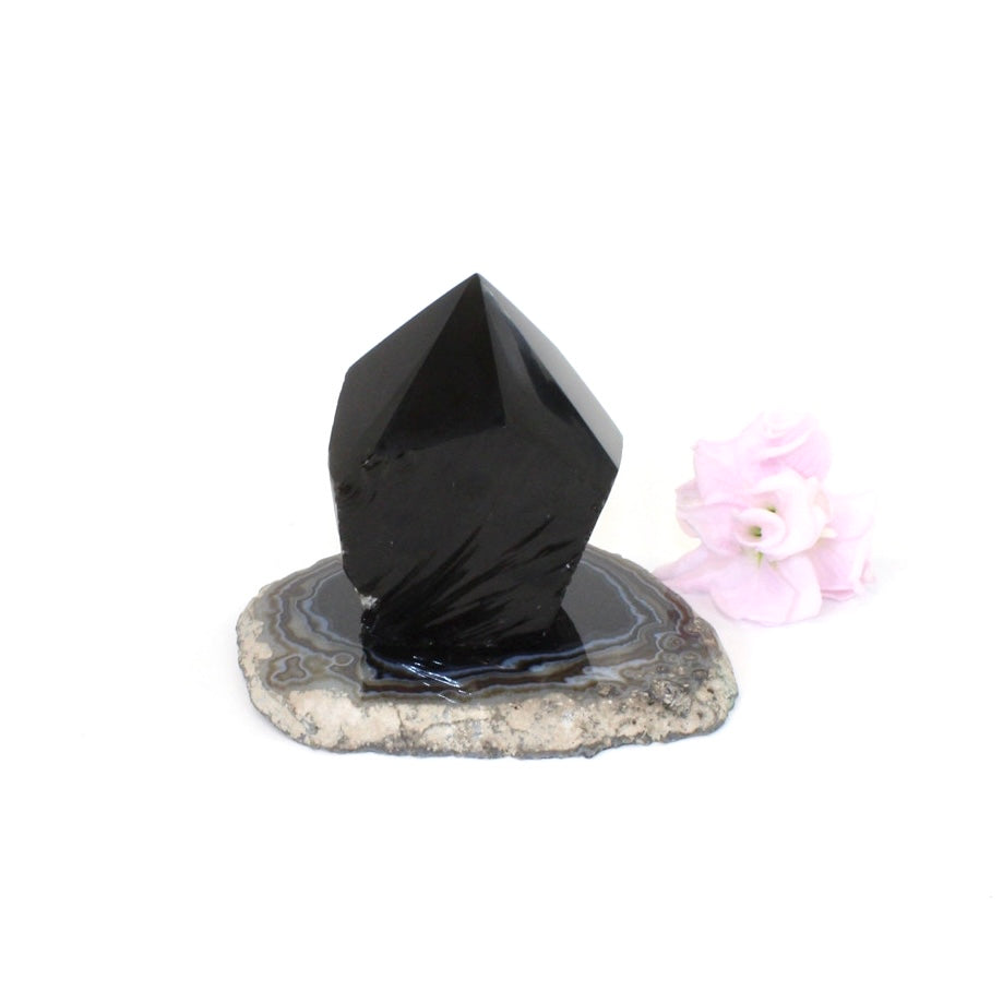 Black interiors crystal pack | ASH&STONE Crystals Shop Auckland NZ