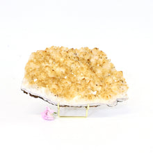 Load image into Gallery viewer, Large citrine crystal cluster on stand | ASH&amp;STONE Large Crystals Shop Auckland NZ
