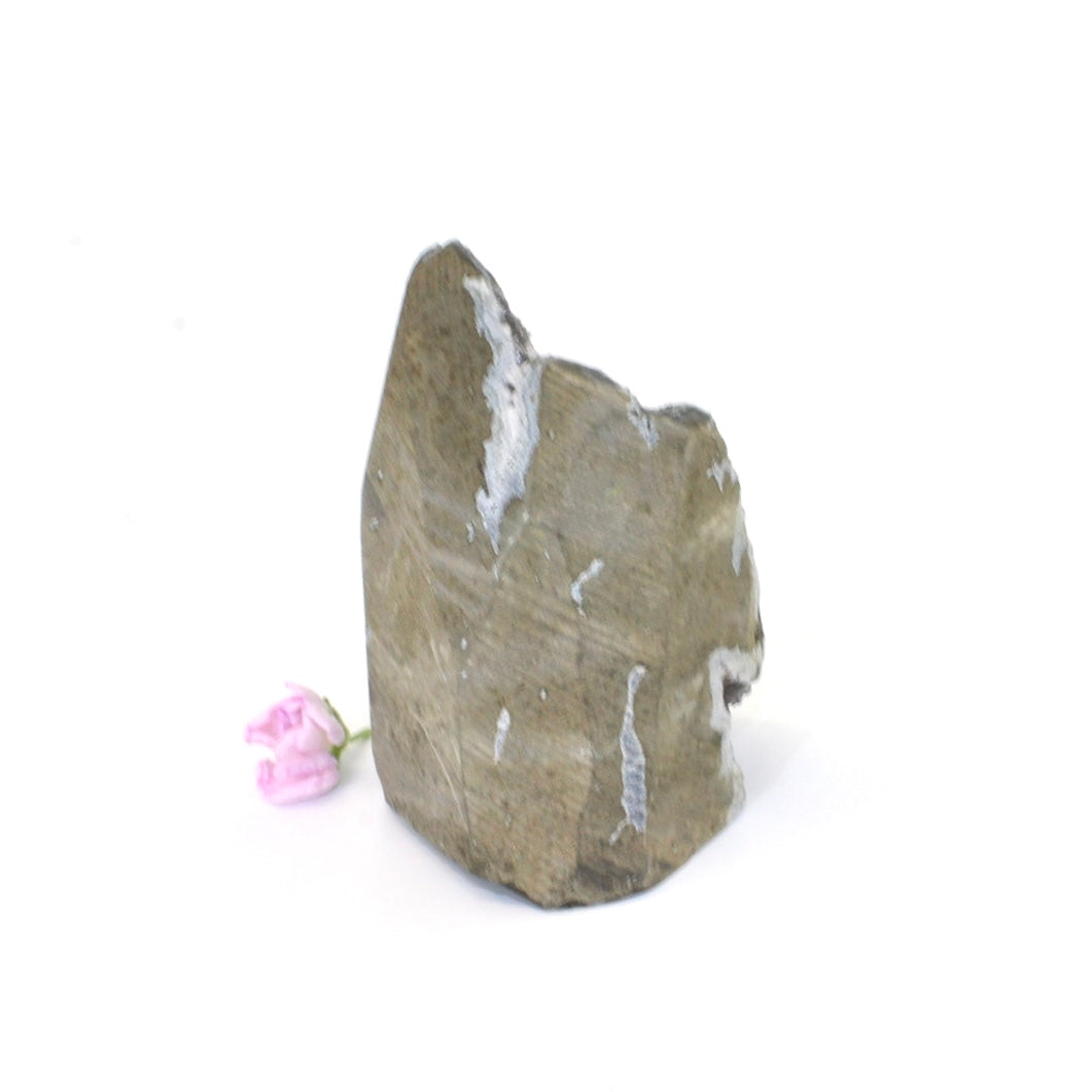 Black amethyst crystal with cut base | ASH&STONE Crystals Shop Auckland NZ