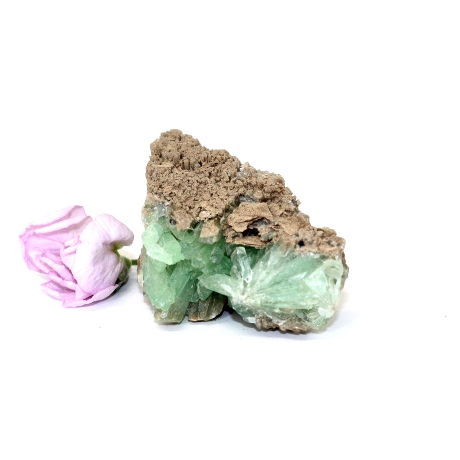 Green aragonite crystal cluster | ASH&STONE Crystals Shop Auckland NZ