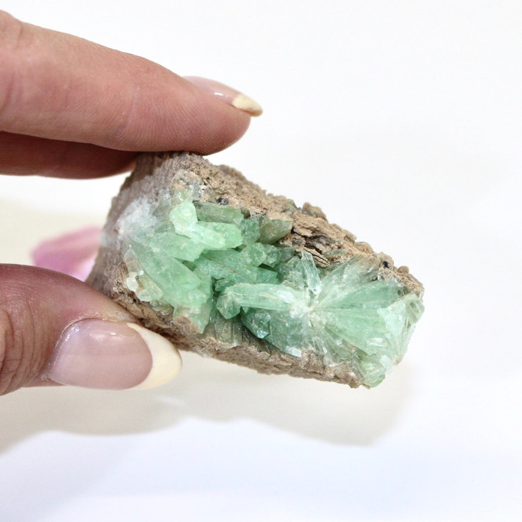 Green aragonite crystal cluster | ASH&STONE Crystals Shop Auckland NZ
