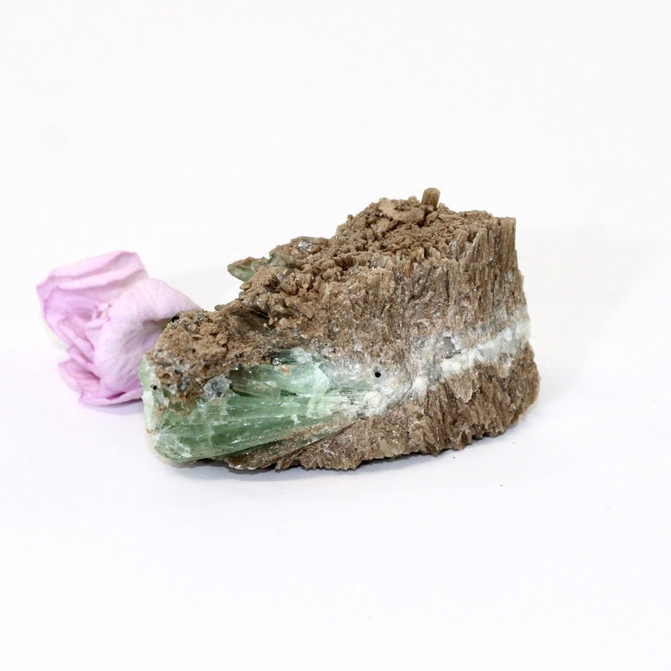 Green aragonite crystal cluster | ASH&STONE Crystals Shop Auckland NZ