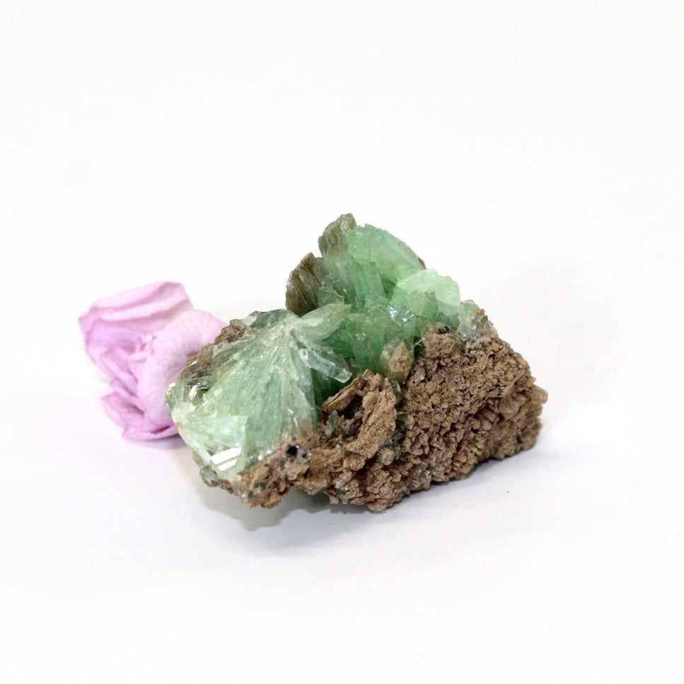 Green aragonite crystal cluster | ASH&STONE Crystals Shop Auckland NZ
