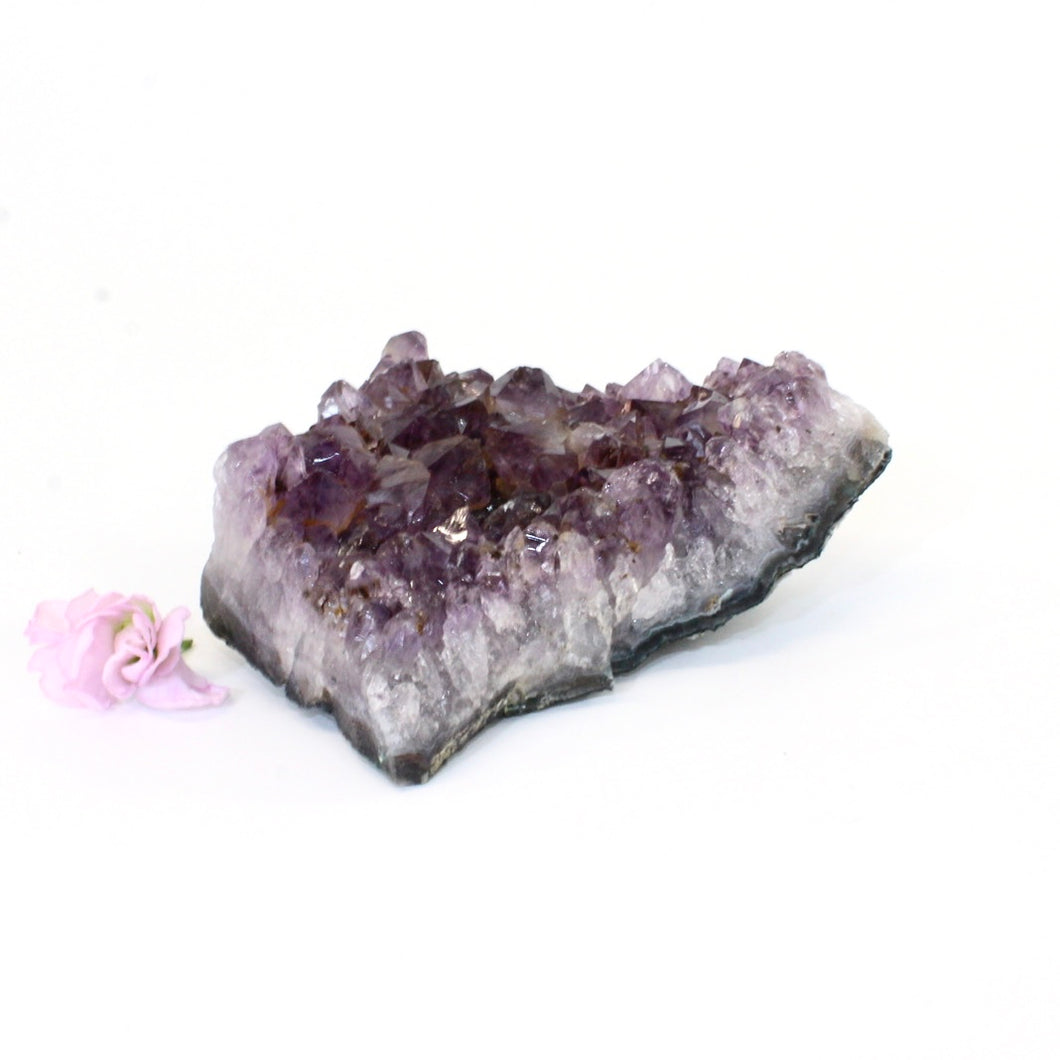 Amethyst crystal cluster | ASH&STONE Crystals Auckland