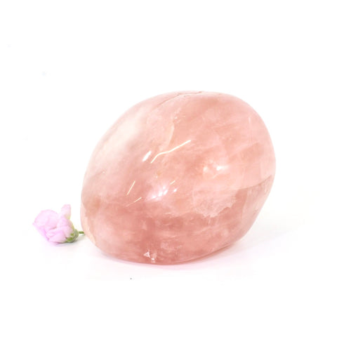 Rose quartz crystal polished free form | ASH&STONE Crystals Auckland NZ