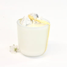 Load image into Gallery viewer, Howlite crystal candle | Cacao &amp; Sandalwood | ASH&amp;STONE Crystal Candles Auckland NZHowlite crystal candle | ASH&amp;STONE Crystal Candles Auckland NZ
