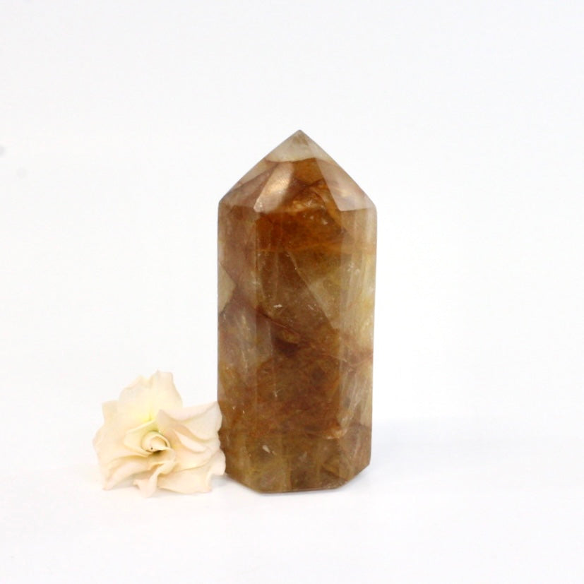 Golden healer crystal tower | ASH&STONE Crystals Shop Auckland NZ