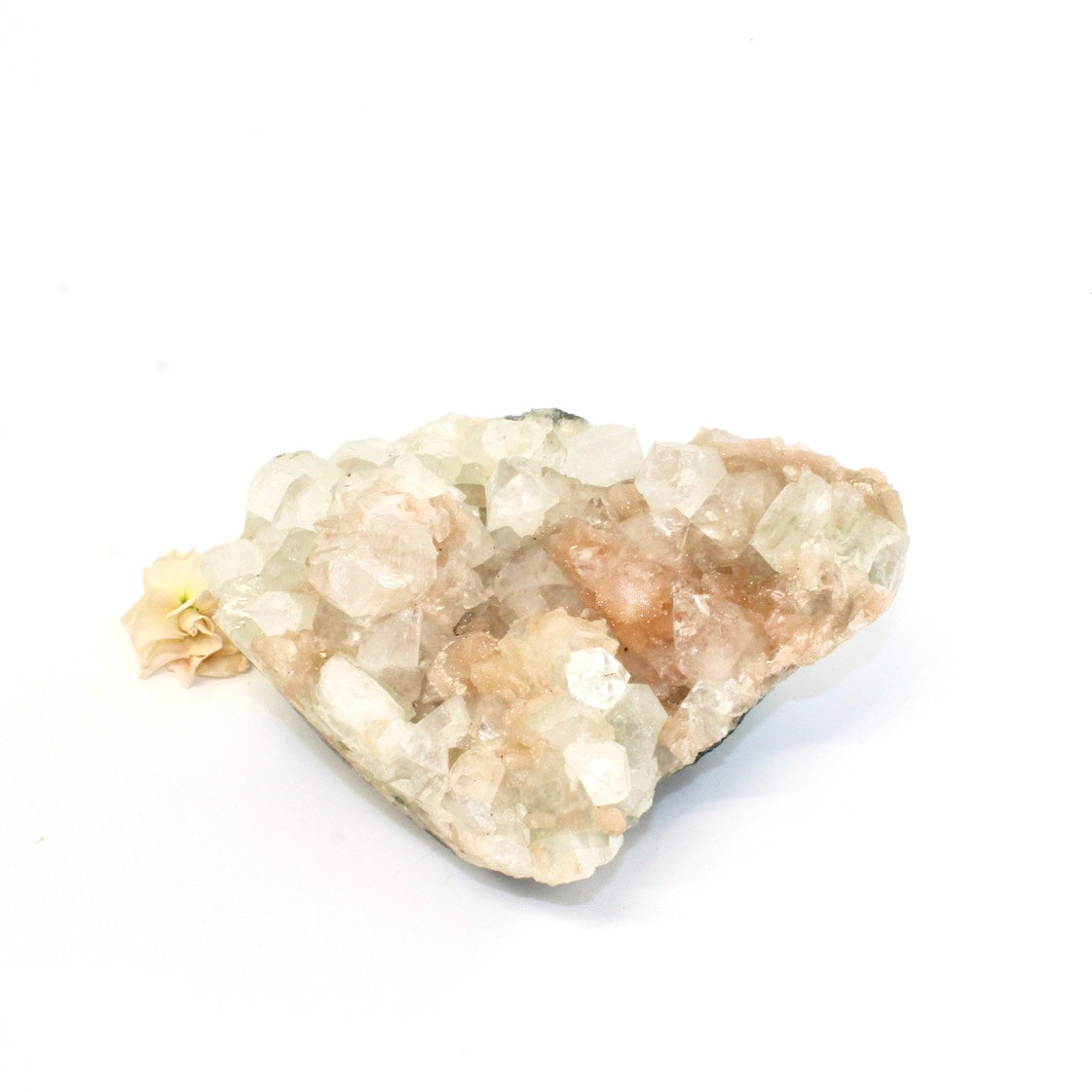 Apophyllite with stilbite crystal cluster | ASH&STONE Crystals Shop Auckland NZ