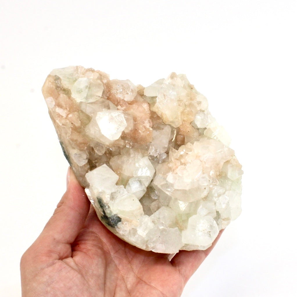 Apophyllite with stilbite crystal cluster | ASH&STONE Crystals Shop Auckland NZ