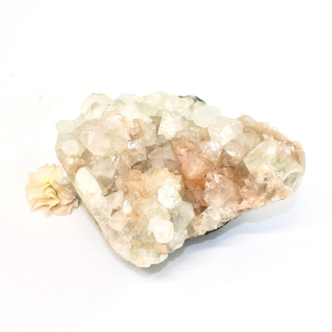Apophyllite with stilbite crystal cluster | ASH&STONE Crystals Shop Auckland NZ