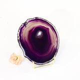 Agate crystal slice on stand | ASH&STONE Crystals Auckland NZ