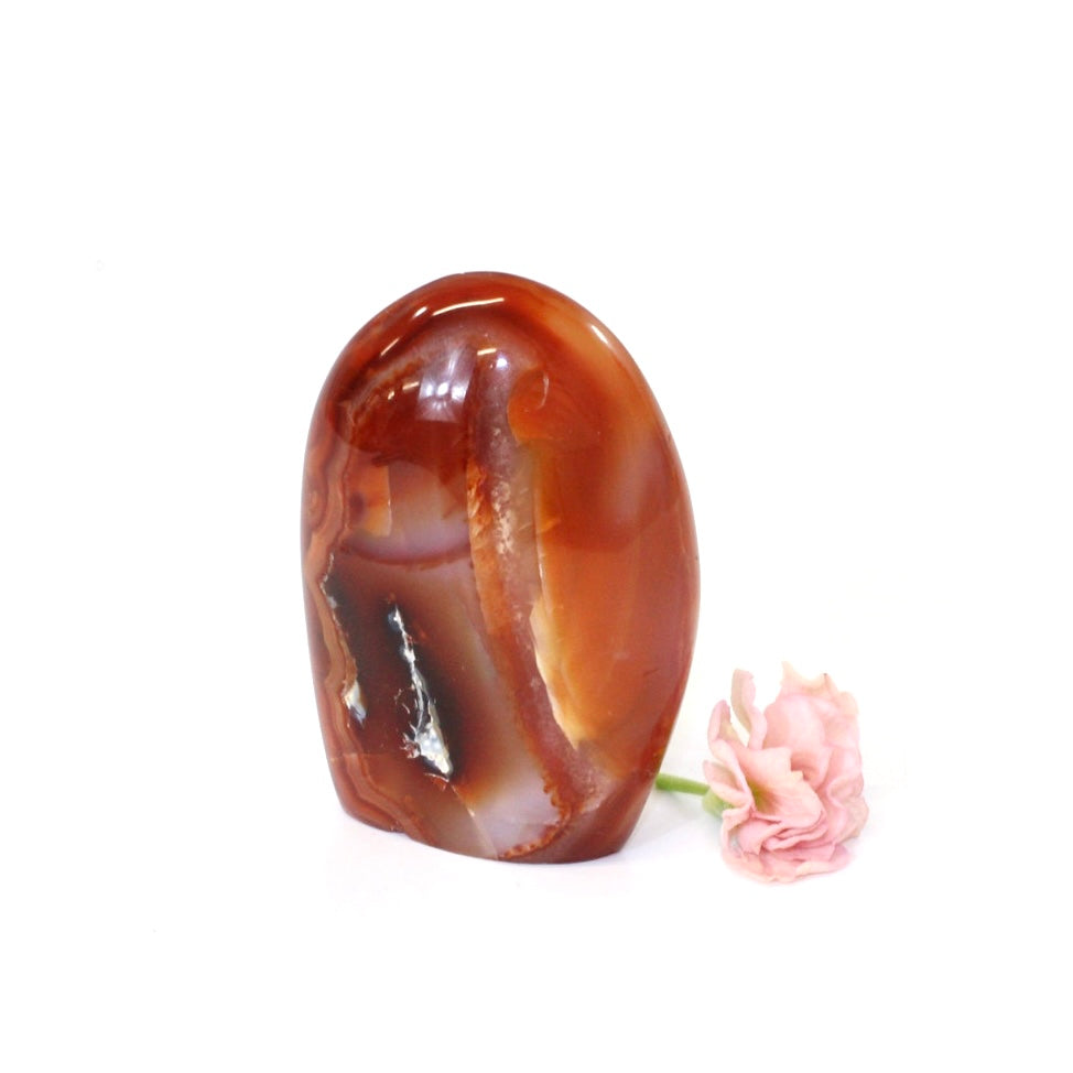 Carnelian crystal polished free form | ASH&STONE Crystals Shop Auckland NZ