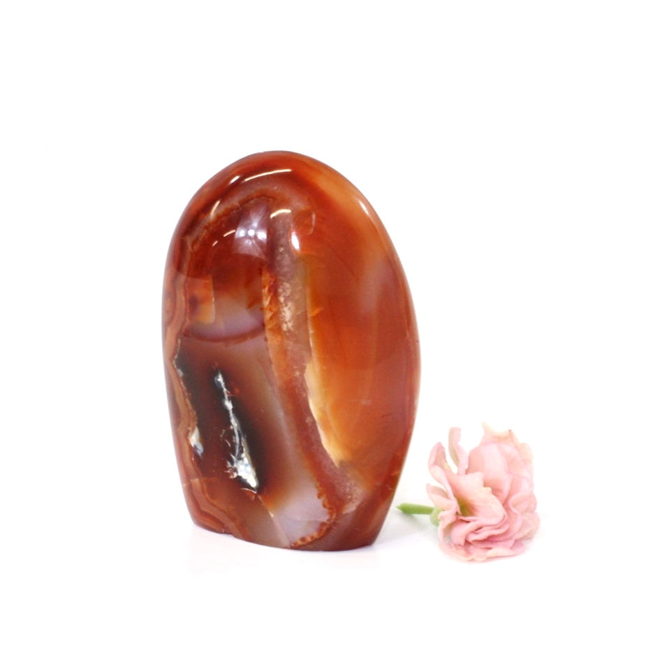 Carnelian crystal polished free form | ASH&STONE Crystals Shop Auckland NZ
