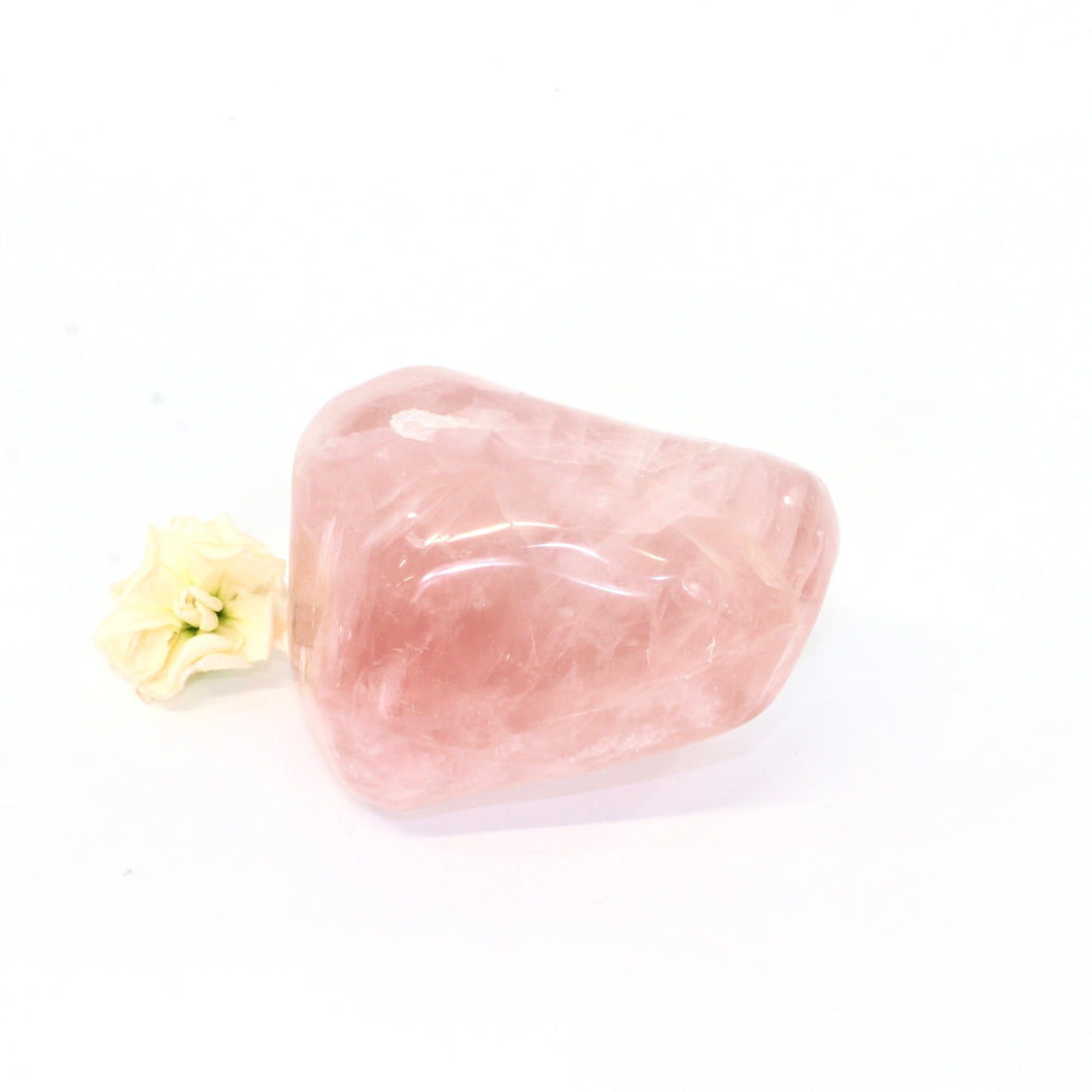 Rose quartz crystal polished free form | ASH&STONE Crystals Auckland NZ