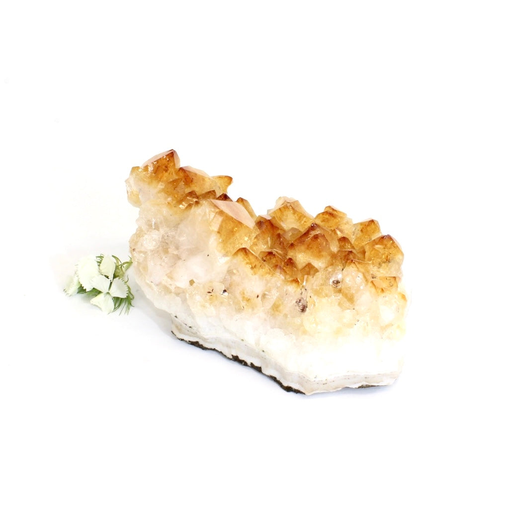 Citrine crystal cluster | ASH&STONE Crystals Shop