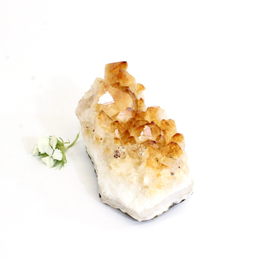 Citrine crystal cluster | ASH&STONE Crystals Shop