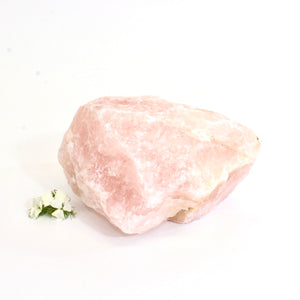 Large rose quartz crystal chunk 1.63kg | ASH&STONE Crystals Shop Auckland NZ