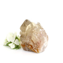 Load image into Gallery viewer, Kundalini Natural Citrine Crystal Cluster - extremely rare | ASH&amp;STONE Crystals
