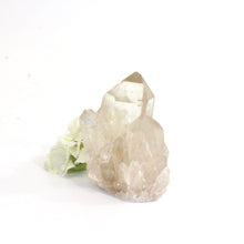 Load image into Gallery viewer, Kundalini Natural Citrine Crystal Cluster - extremely rare | ASH&amp;STONE Crystals Shop 
