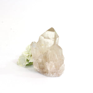 Kundalini Natural Citrine Crystal Cluster - extremely rare | ASH&STONE Crystals Shop 