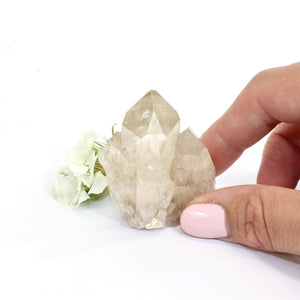 Kundalini Natural Citrine Crystal Cluster - extremely rare | ASH&STONE Crystals Shop 