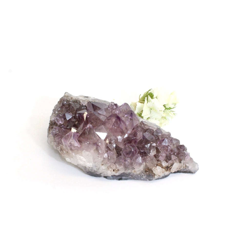 Amethyst crystal cluster | ASH&STONE Crystals Shop Auckland NZ