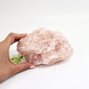 Large rose quartz crystal chunk 1.68kg | ASH&STONE Crystals Shop