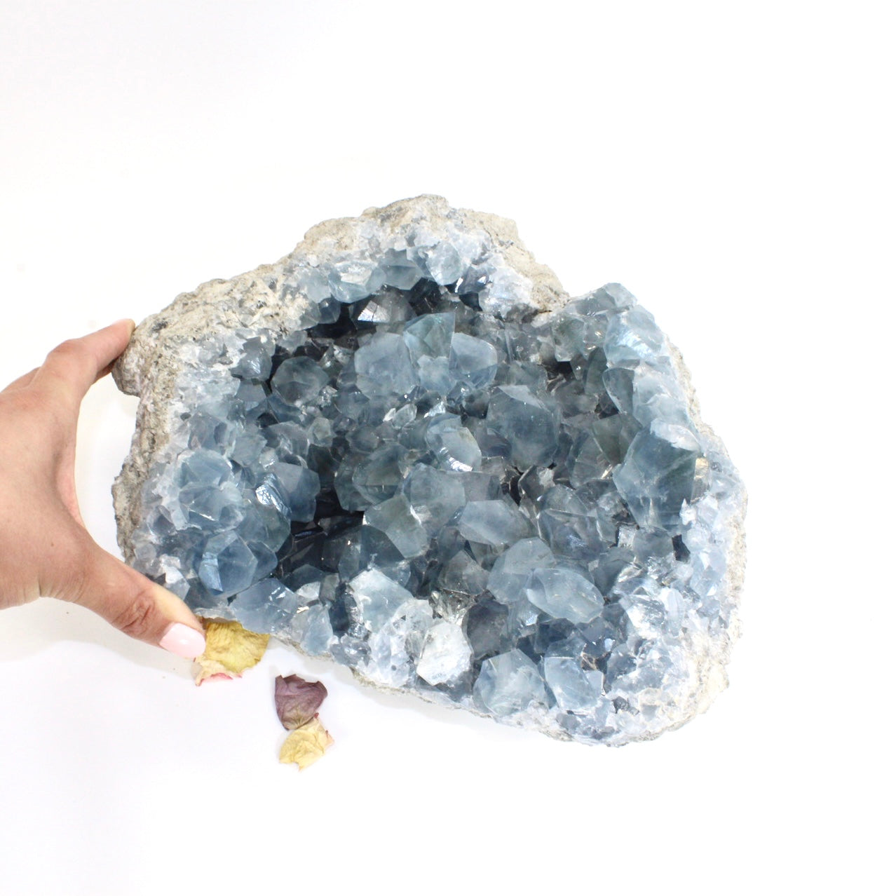 Large celestite crystal cluster 10kg | ASH&STONE Crystals Shop