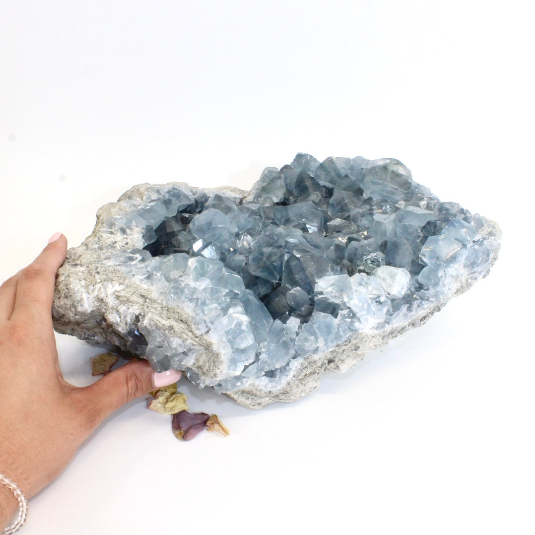 Large celestite crystal cluster 10kg | ASH&STONE Crystals Shop