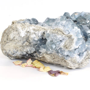 Large celestite crystal cluster 10kg | ASH&STONE Crystals Shop