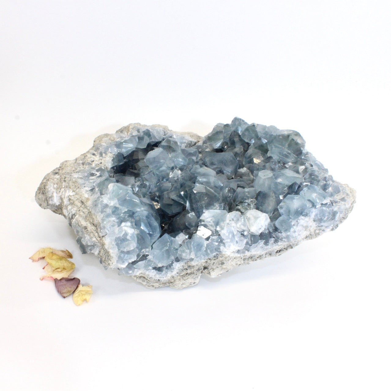 Large celestite crystal cluster 10kg | ASH&STONE Crystals Shop