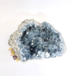 Large celestite crystal cluster 10kg | ASH&STONE Crystals Shop