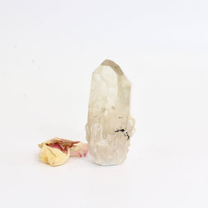 Kundalini Natural Citrine Crystal Point - extremely rare | ASH&STONE Crystals Shop Auckland NZ
