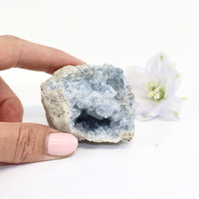 Load image into Gallery viewer, Celestite crystal cluster | ASH&amp;STONE Crystals Shop Auckland NZ
