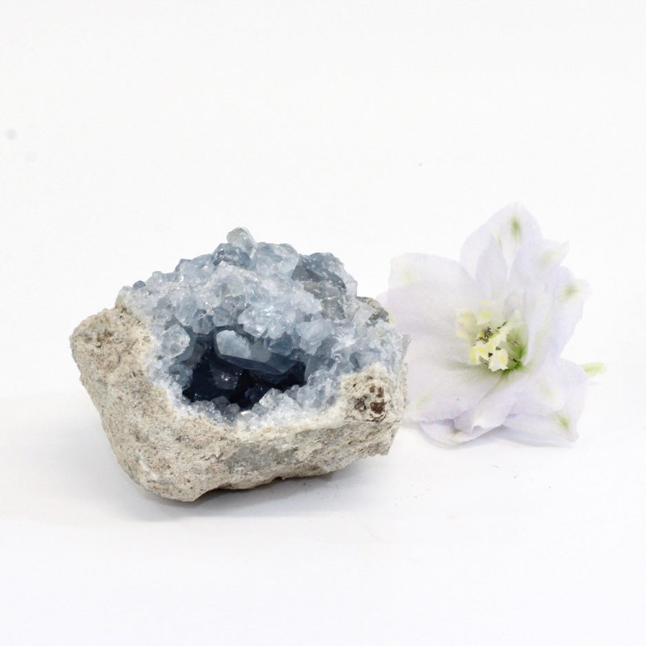 Celestite crystal cluster | ASH&STONE Crystals Shop Auckland NZ