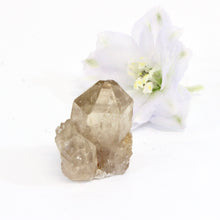 Load image into Gallery viewer, Kundalini Natural Citrine Crystal Clustered Point | ASH&amp;STONE Crystals Shop Auckland NZ

