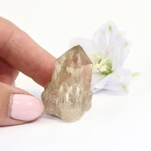 Kundalini Natural Citrine Crystal Clustered Point | ASH&STONE Crystals Shop Auckland NZ