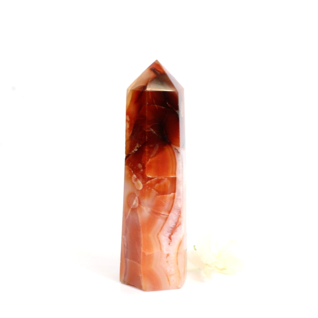 Carnelian crystal tower | ASH&STONE Crystals Shop Auckland NZ