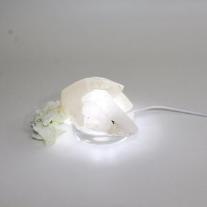 Clear quartz crystal point on LED lamp base | ASH&STONE Crystal Shop Auckland NZ