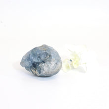 Load image into Gallery viewer, Celestite crystal egg | ASH&amp;STONE Crystals Shop Auckland NZ
