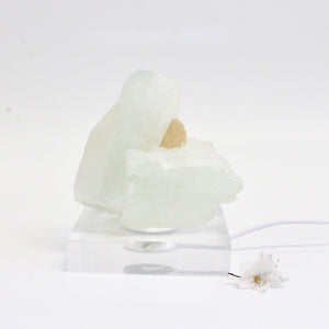 Apophyllite crystal chunk on perspex LED lamp base | ASH&STONE Crystals Shop Auckland NZ
