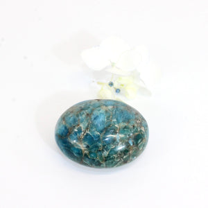 Blue apatite crystal palm stone | ASH&STONE Crystals Shop Auckland NZ