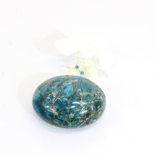 Load image into Gallery viewer, Blue apatite crystal palm stone | ASH&amp;STONE Crystals Shop Auckland NZ
