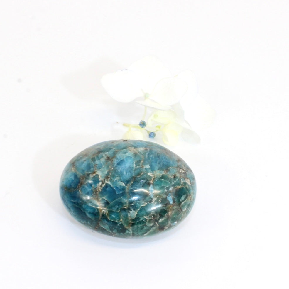 Blue apatite crystal palm stone | ASH&STONE Crystals Shop Auckland NZ